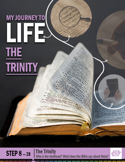 My Journey to Life, Step 8—The Three-Person Godhead