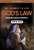 My Journey to Life, Step 18—God’s Law