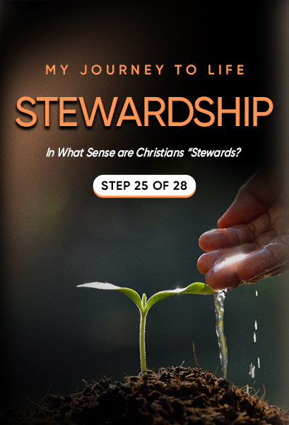 My Journey to Life, Step 25—Stewardship