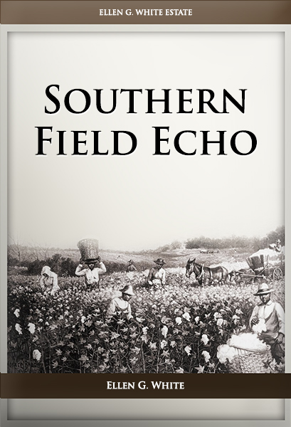 Southern Field Echo